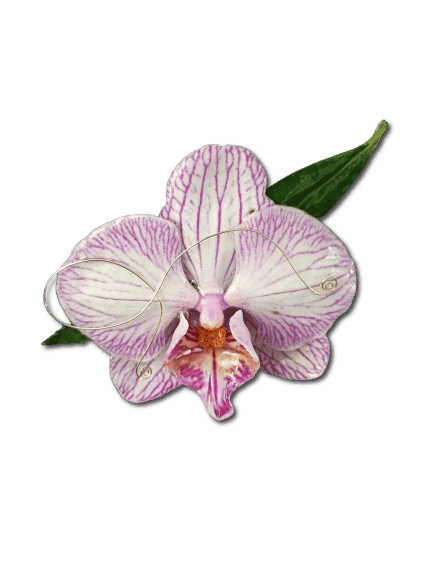 Broche en fleur d'orchidée naturelle